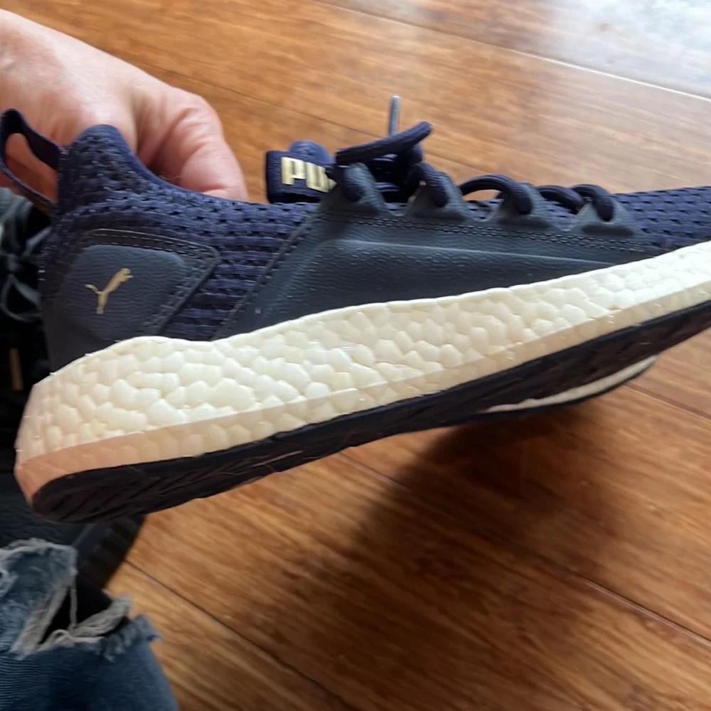 Pumas - Picture 5 of 10